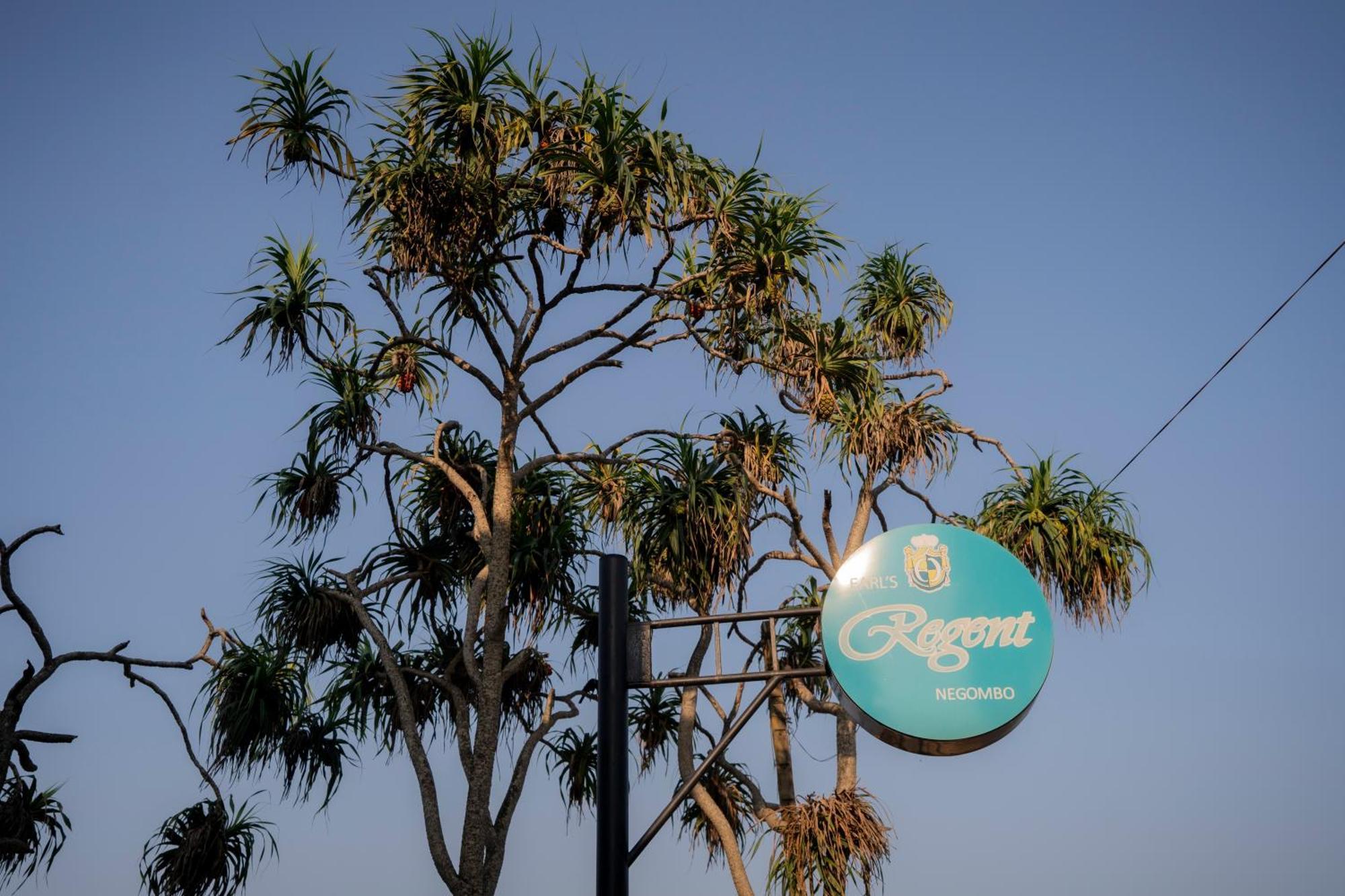 Earl'S Regent Negombo Otel Dış mekan fotoğraf